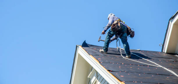 Best Roof Gutter Cleaning  in New Boston, OH